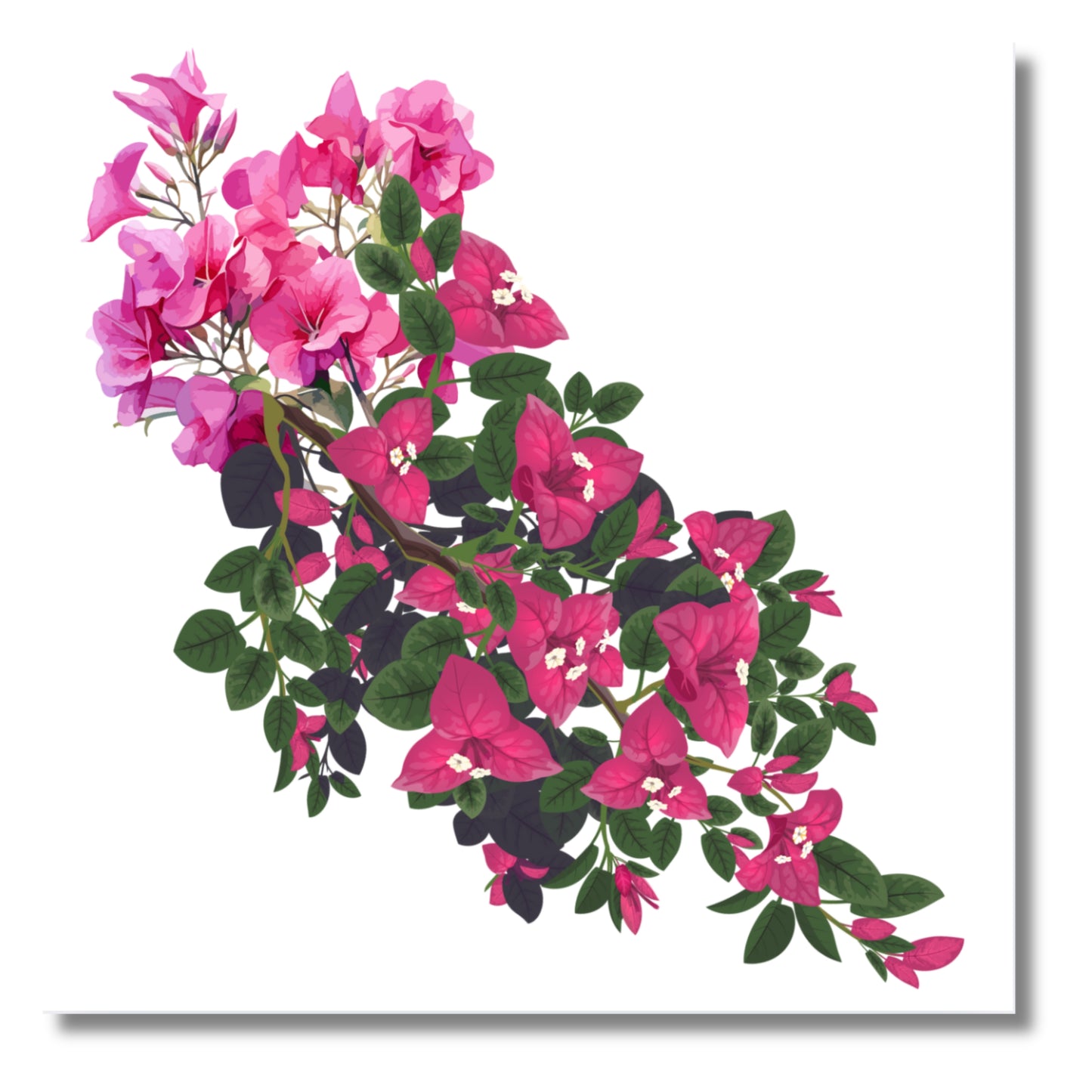 SERVILLETAS GIARDINO X 4 PZAS